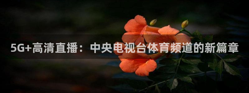 cc35tv鲸鱼体育：5G+高清直播：中央电视台体育频道的新篇章