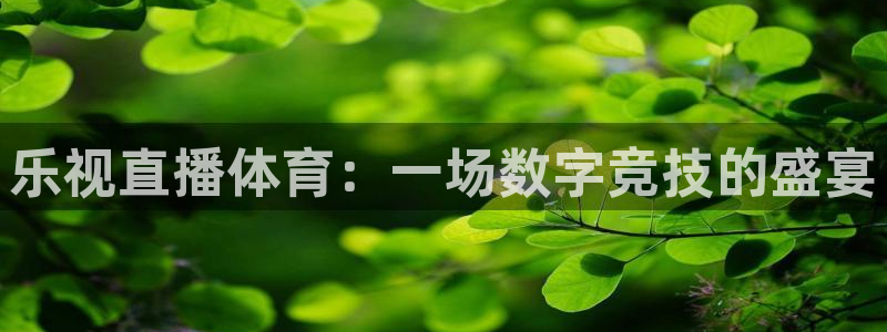 鲸鱼体育nba直播在线观看：乐视直播体育：一场数字竞技的盛宴