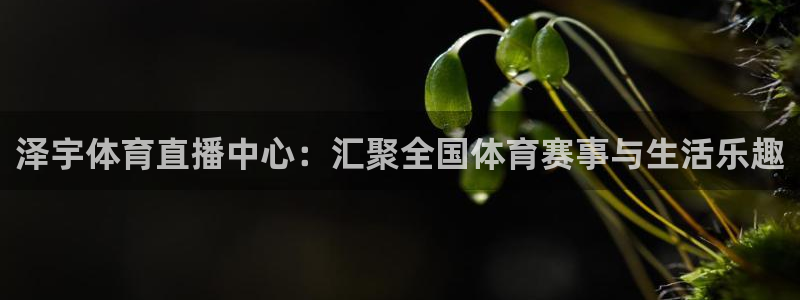 鲸鱼体育网址是什么：泽宇体育直播中心：汇聚全国体育赛事与生活乐趣