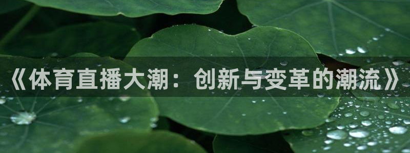 鲸鱼体育tv直播：《体育直播大潮：创新与变革的潮流》