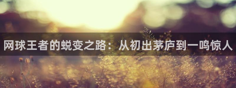 鲸鱼体育tv送红红单v3.红单足球.top：网球王者的蜕变之路：从初出茅庐到一鸣惊人