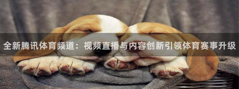 鲸鱼体育tv在线观看：全新腾讯体育频道：视频直播与内容创新引领体育赛事升级
