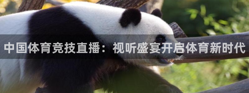 鲸鱼体育app官网版：中国体育竞技直播：视听盛宴开启体育新时代