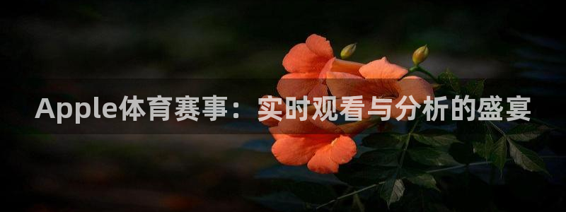 鲸鱼体育app官方入口：Apple体育赛事：实时观看与分析的盛宴
